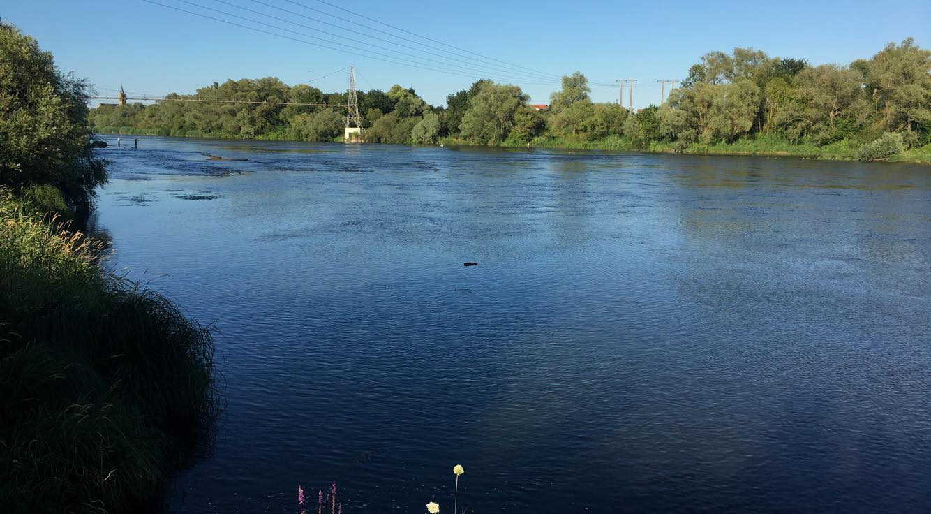 Pêche de l'aspe en Moselle Pêche de l'aspe en Moselle